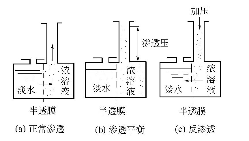 反滲透膜除鹽原理